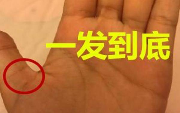 最罕见的"藏宝纹"手相,极其难得,财运极大,必发亿万之财!