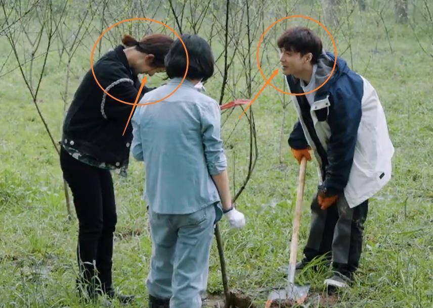 杨紫扶着树苗偷笑,有谁注意张艺兴看她的眼神?