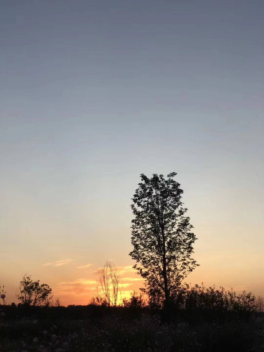 原创
            开源更需节流，小节约也能为公司创造大价值 分享一份节约要点
