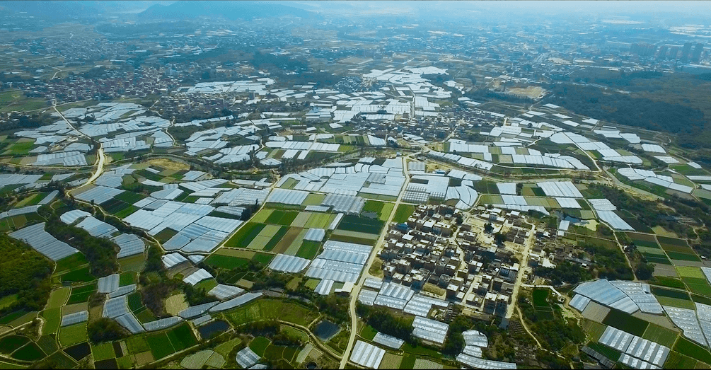 面前埔村位於廈門市翔安區新圩鎮中部,村莊以種植大棚蔬菜為主.