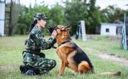 奇兵神犬:张馨予被班长打倒在地艾勒薇斯护主心切实力圈粉_保护_原因