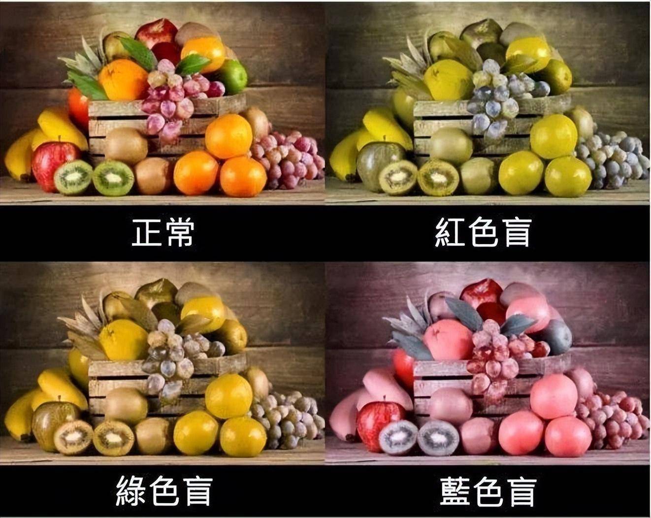 四色视觉人群看到的不一样的世界_塞塔_颜色_普通人