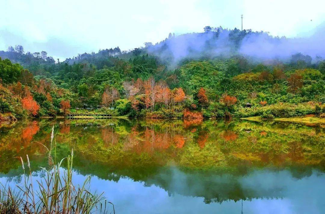 海南虽无冬景,但五指山的秋景绝了!附最佳观赏点!_水满乡_枫叶_美景