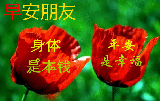 早安，祝愿安好！_问候_祝福_路遥