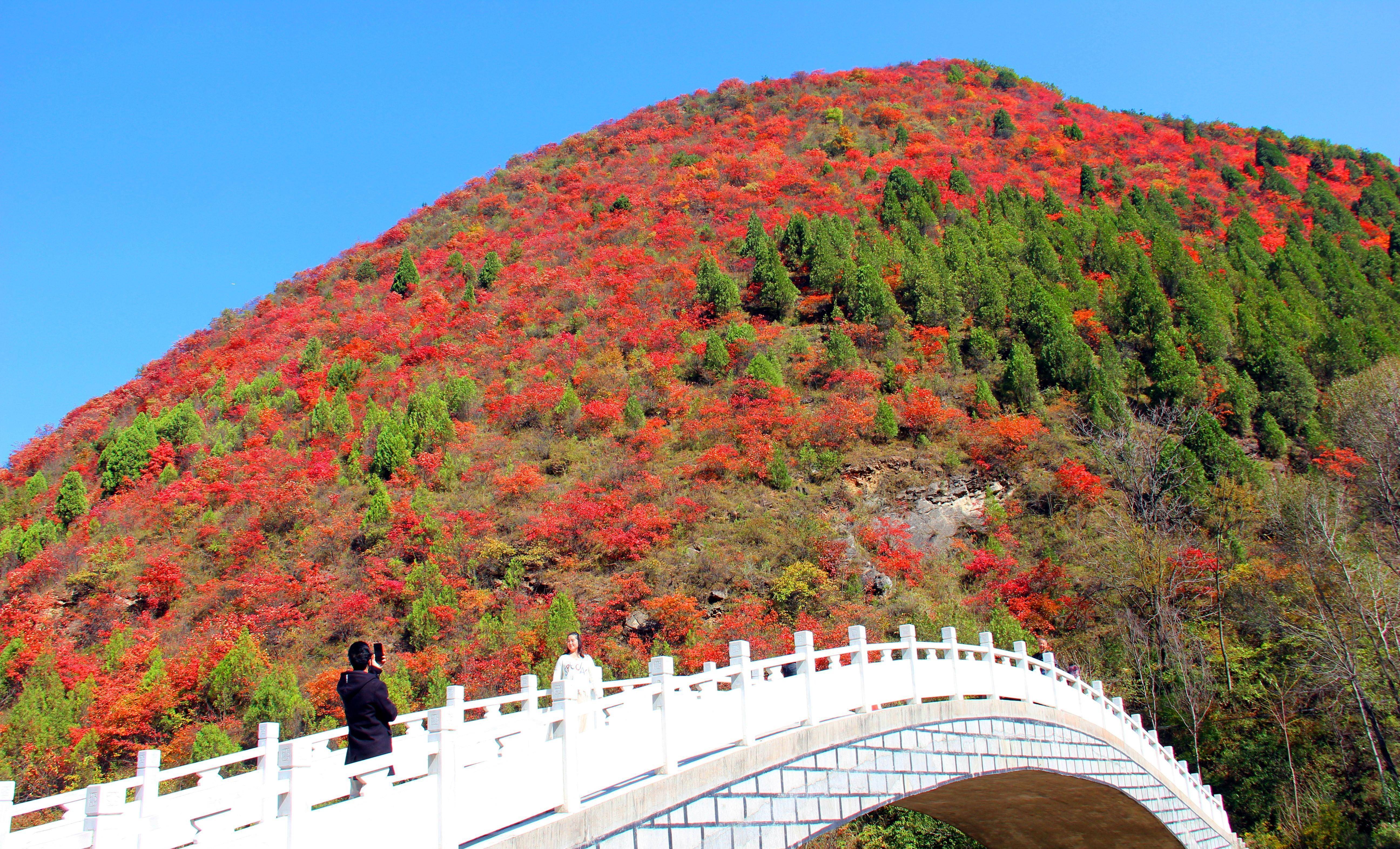 卢氏县旅游景点大全图片