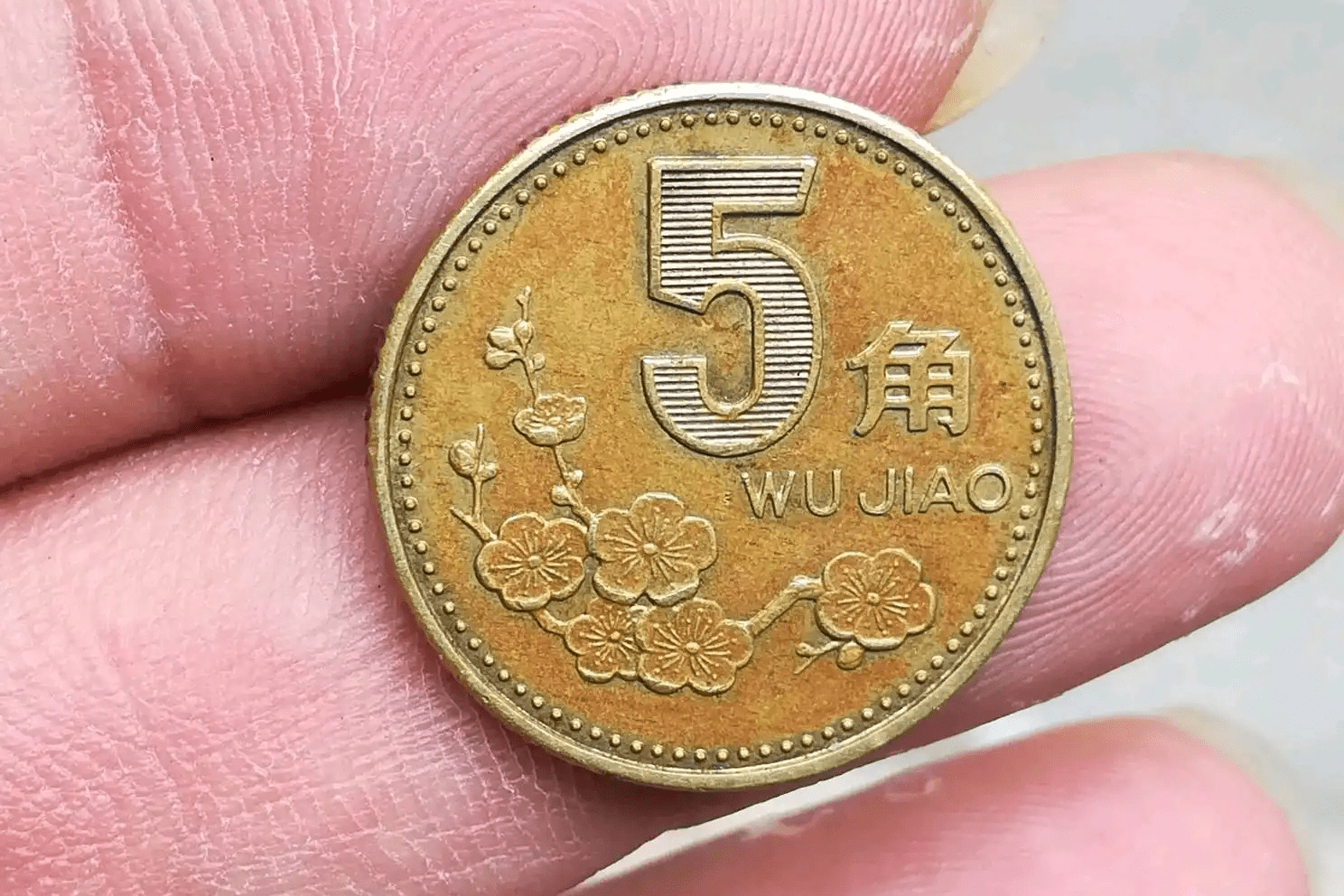 老三花硬币中，2000年的梅花五角硬币，市价是多少？_搜狐网