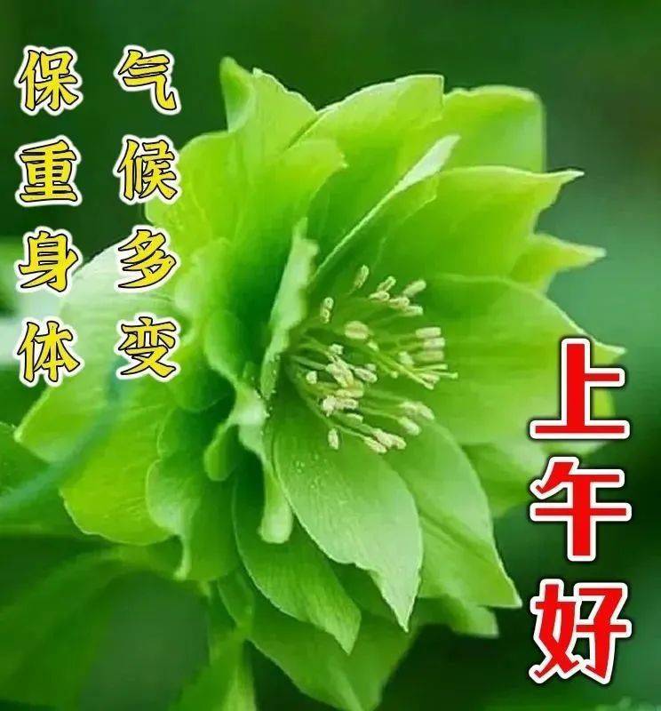 12月11日星期日清晨早上好问候祝福动态表情图片 周日最新早安问候