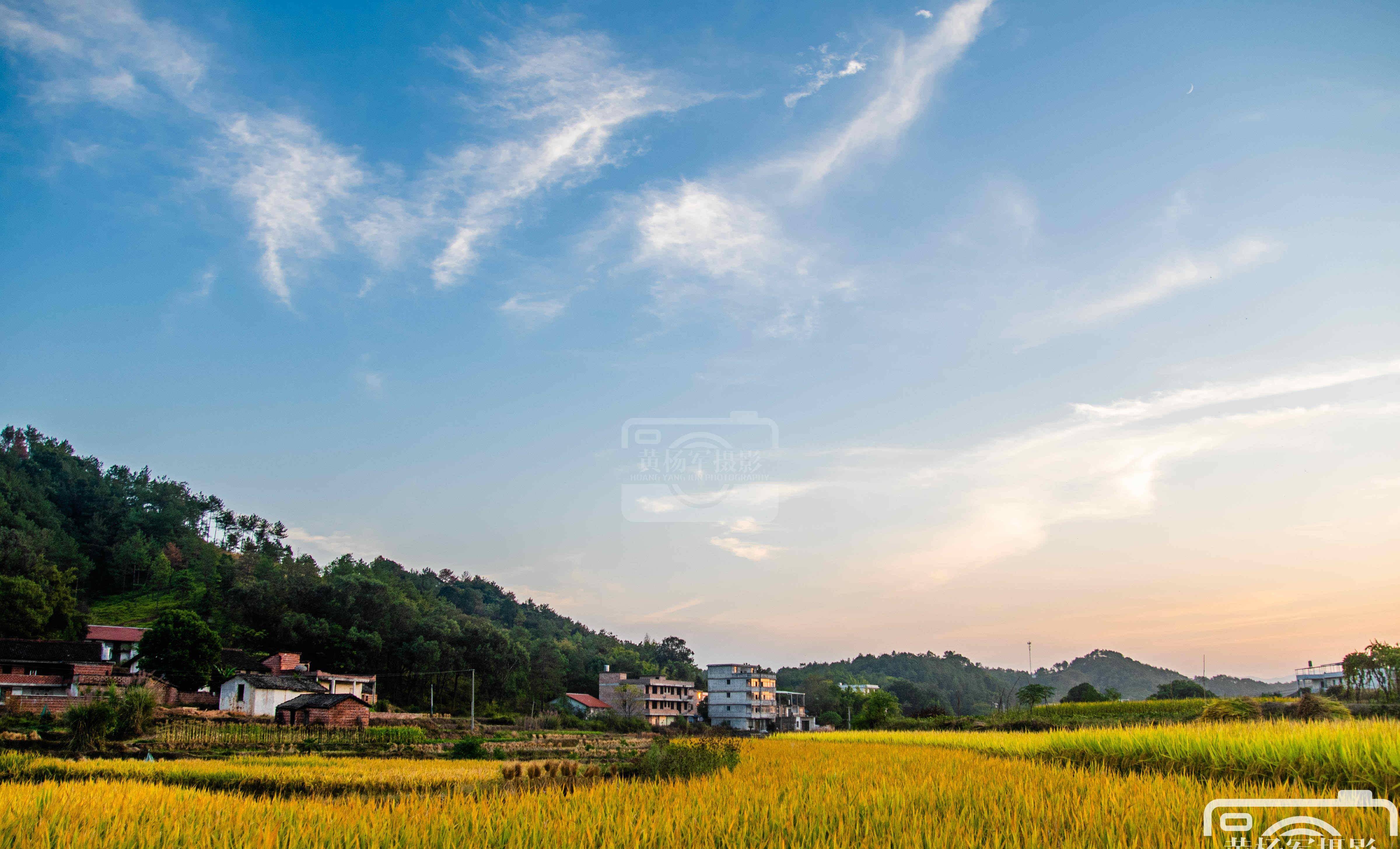 江西河田村的乡村秋色,稻浪金黄景色美如画,距于都城仅11公里