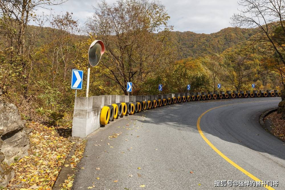 在道路的拐弯处通常会放置凸面镜,这是为了什么?蚂蚁庄园今日答案_搜狐汽车_搜狐网