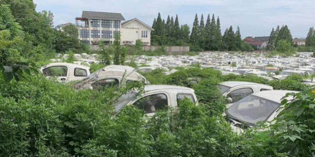 新能源汽车坟场,一万块钱就能买五辆车,风口背后的产业链_搜狐汽车