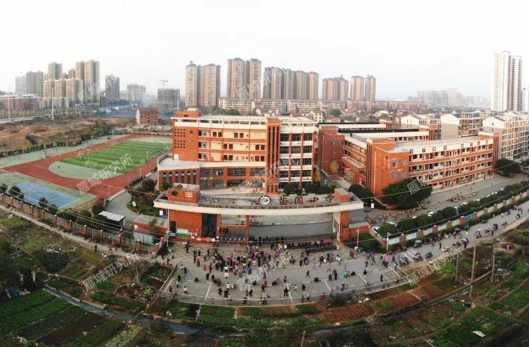 衡阳市珠晖区苗圃小学图片