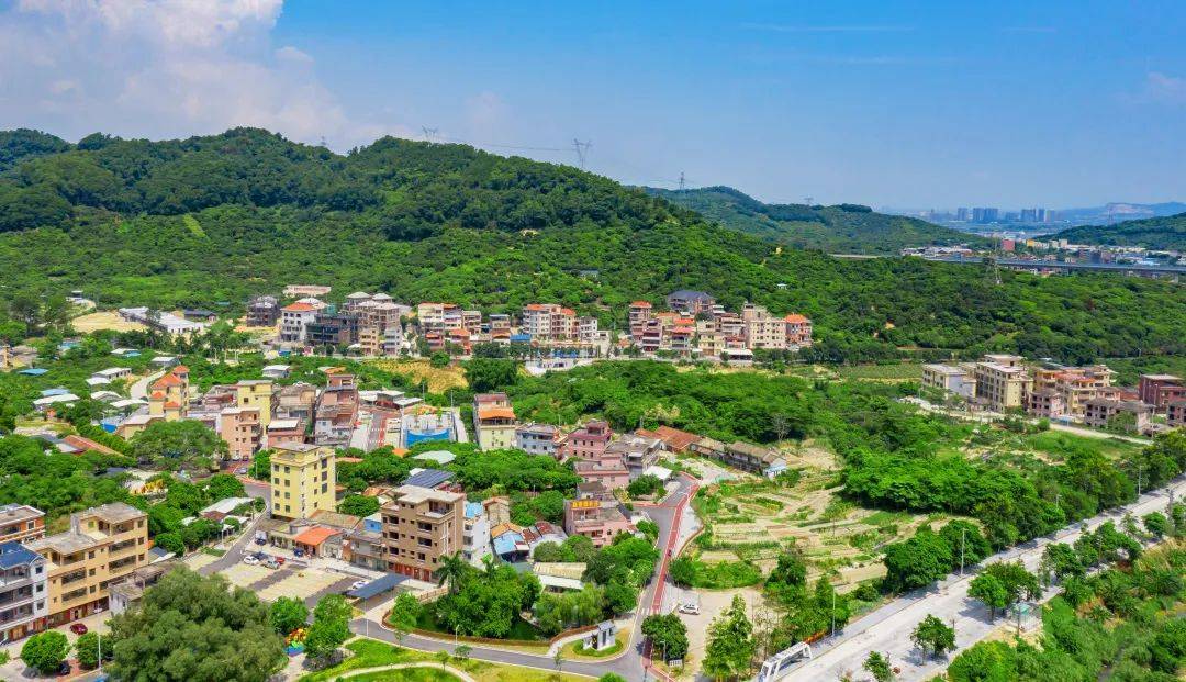谢岗这个项目通过市验收!美丽乡村入画来_改造_建设_文化