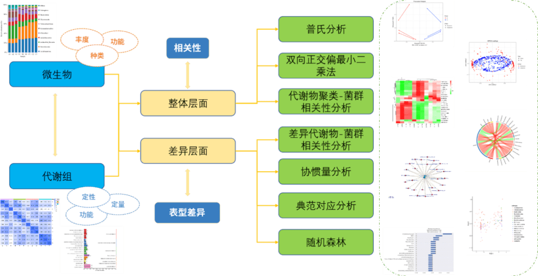 稀有金屬是啥_稀有金屬的意思_稀有金屬什么意思段子