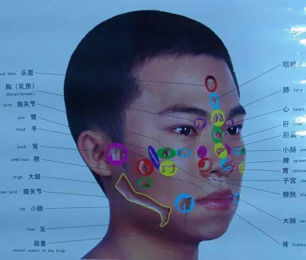 人体全息图，哪里不适按哪里（留着备用）