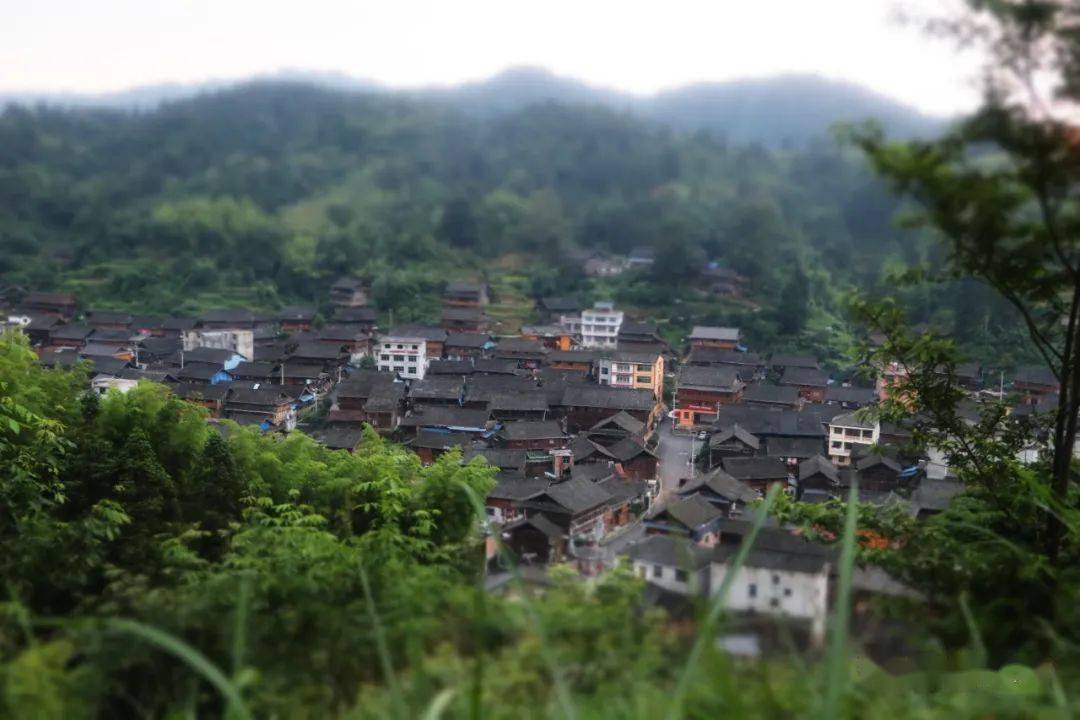 【文化】黎平县高寅村:欢庆"纪坚"节 共话新生活_民族_村寨_乡村