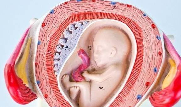 五张图让你认清生娃经历,看后感觉很辛酸_宫口_宝宝_女人