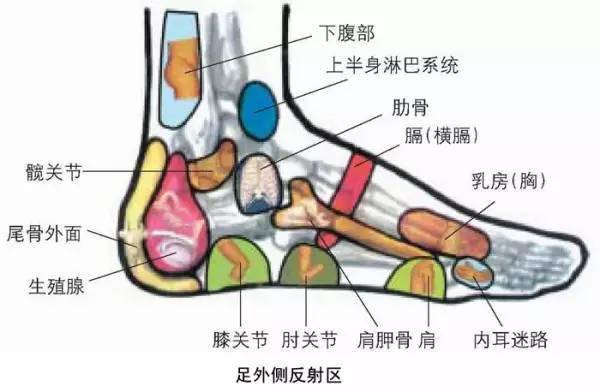 人体全息图，哪里不适按哪里（留着备用）