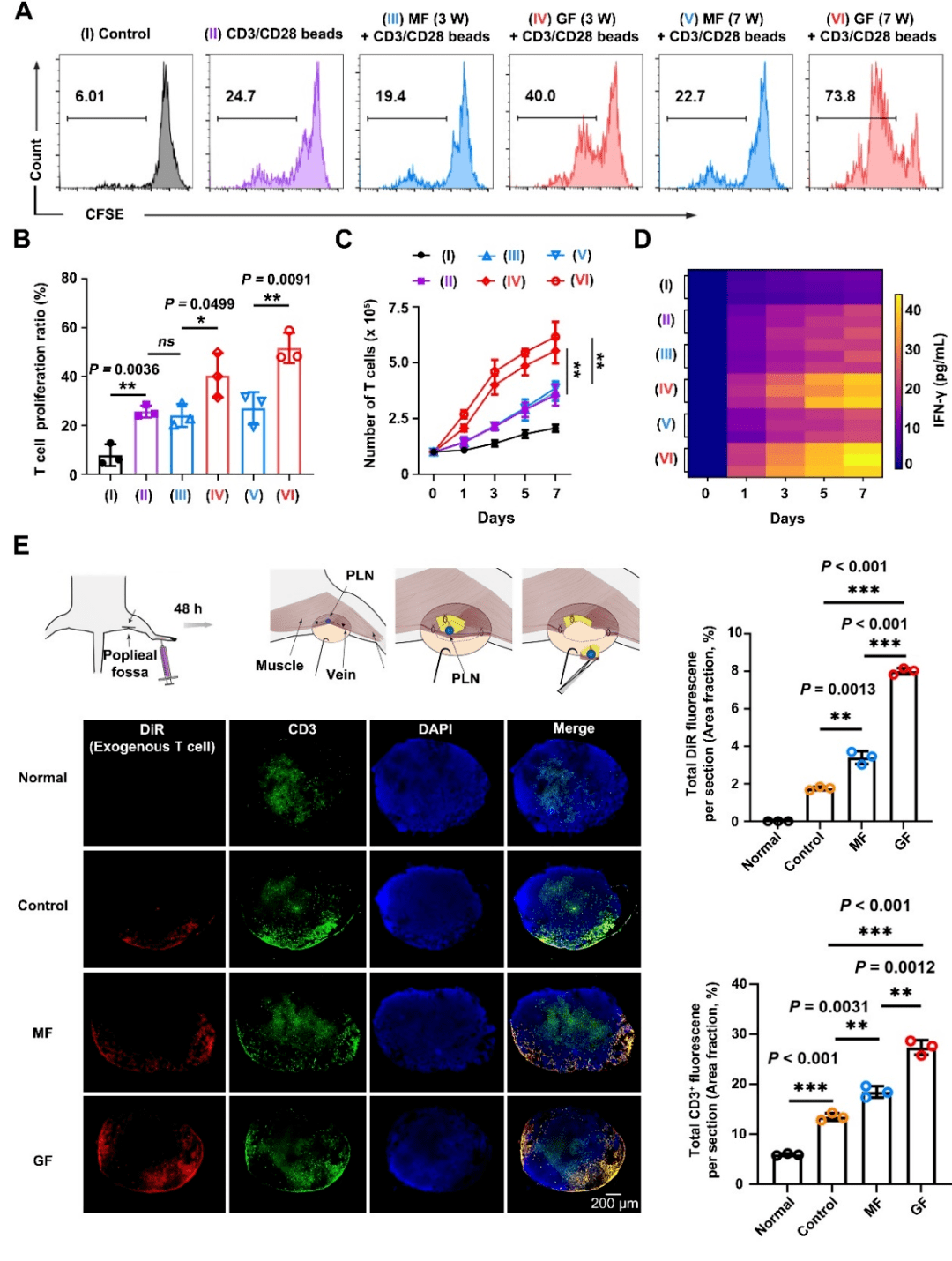 图2a 流式细胞仪分析cfse染色的t细胞经不同刺激后的细胞增殖效率;b t