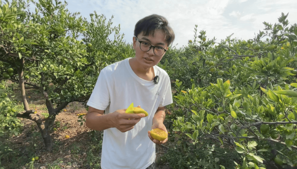 湖南19岁大学生拍下乡村生活收获百万粉丝:有村民向他"求学"_鲁伟