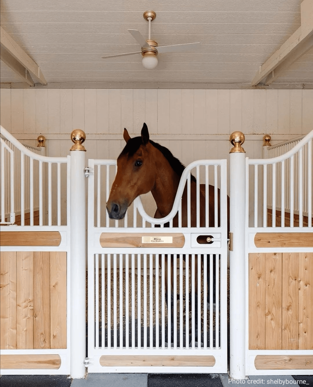 使用白色是一种非传统外观的设计,可以把马房营造出一种宏