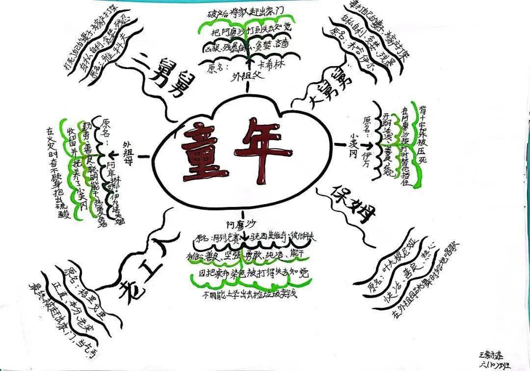 阿廖沙人物思维导图图片