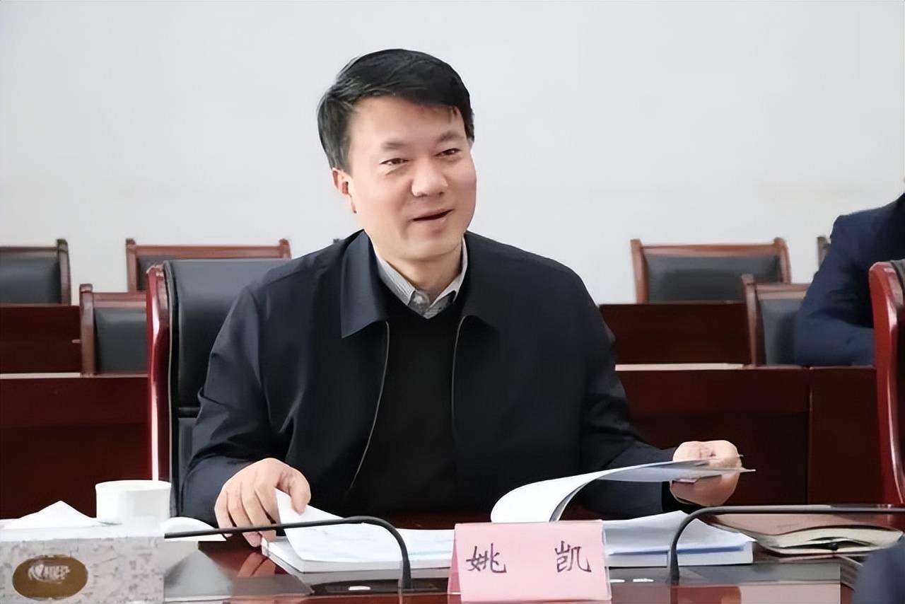 合肥市原副市长被逮捕!曾任合肥轨交集团总经理_姚凯_安徽_投资