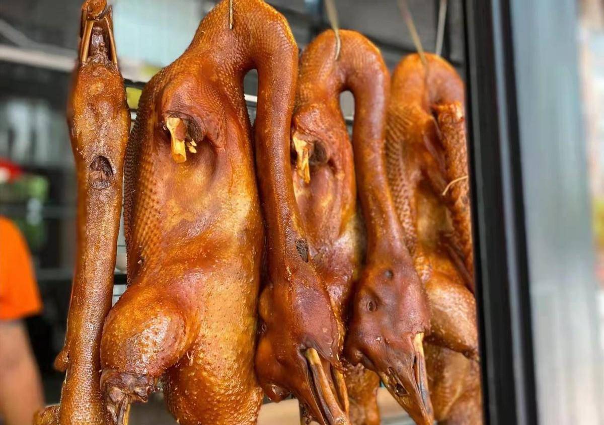 广东潮汕最大狮头鹅,脖子比肉长,边吃边流血,一只鹅卖出上千块_价格