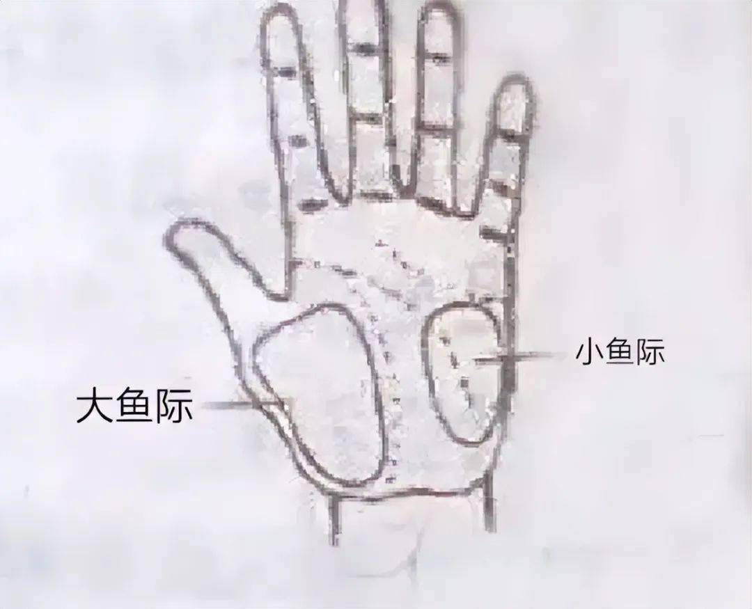 0 3:掌根小鱼际肌在发力击球时起重要支撑作用.