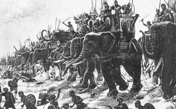 印度战象,一头可抵挡数百发子弹的攻击,却唯独抵挡不住它_大象_因为