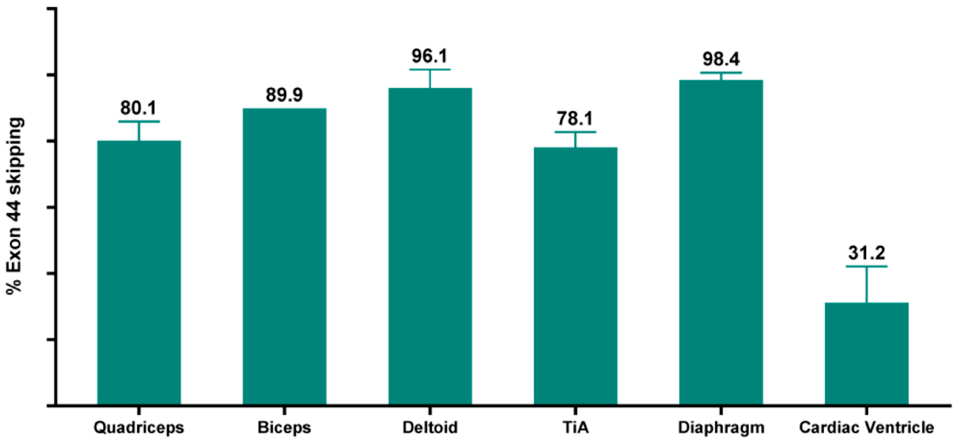 探针资本_上市公司分析:entrada therapeutics_先生_eli_doshi