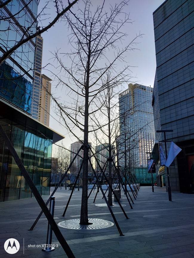 moto G53体验评测:外观更精致影像更好 千元入门就选它