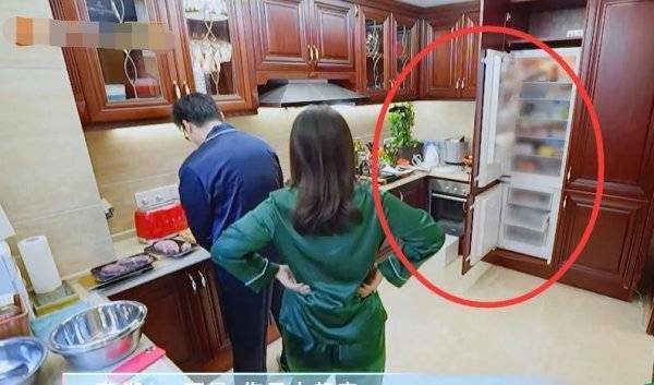 李湘和王岳伦的家里为何这么豪?冰箱门都不关?_厨房_节目_网友
