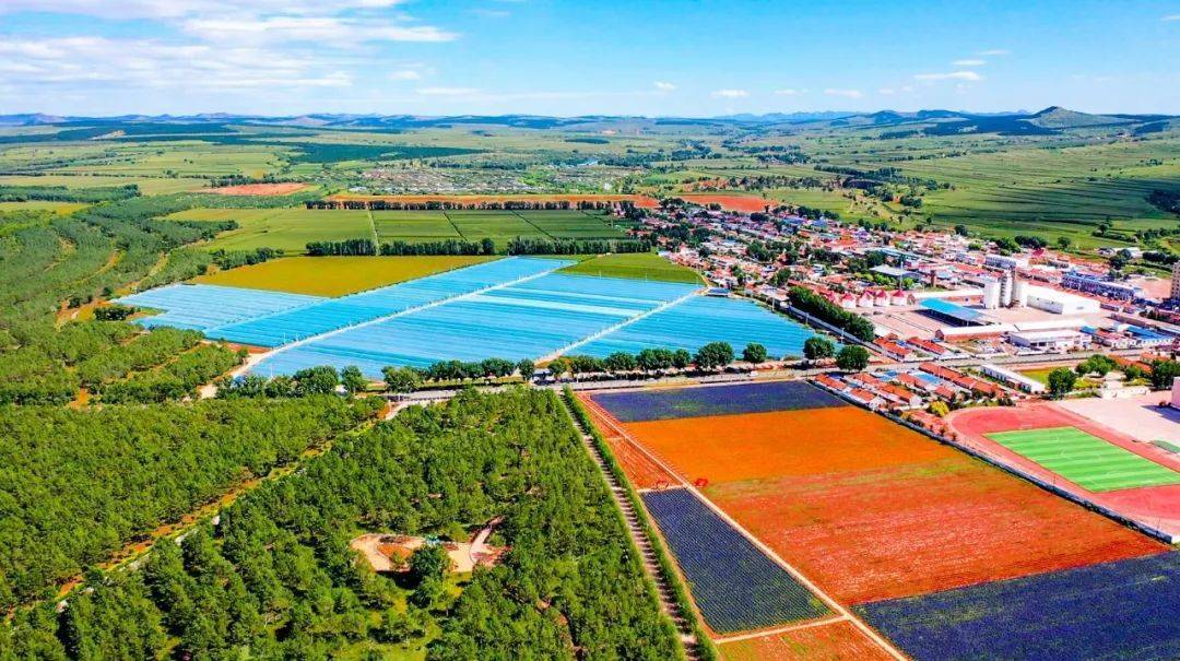 林海杨树岭乡 苜蓿草岭生态涵养区义成功乡 马架子生态涵养区建平县