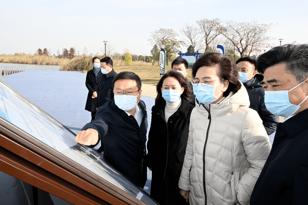 盐城市委书记徐缨调研盐都大纵湖生态岛试验区建设_保护_湿地_江苏省