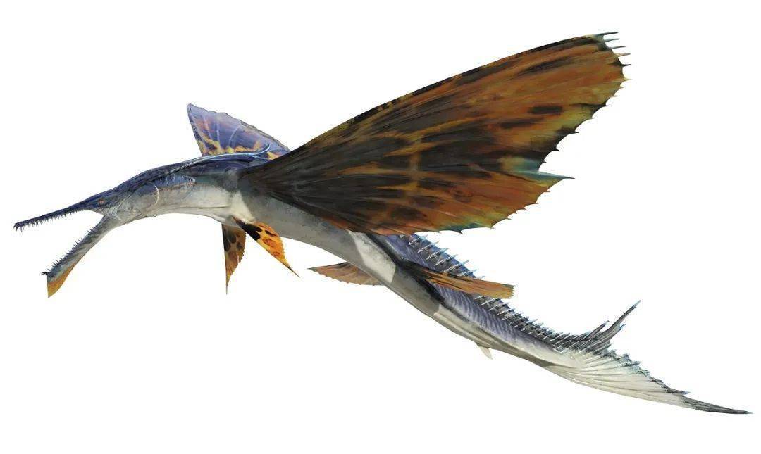 《阿凡达2》の三大海洋生物