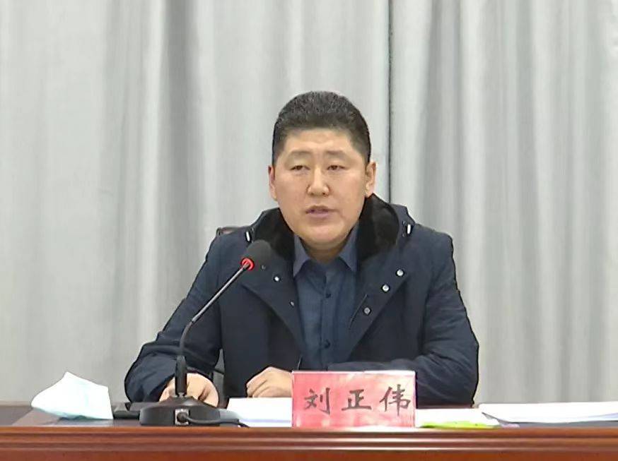 黑龙江拜泉县优化营商环境再加力_工作_宣传_刘正伟