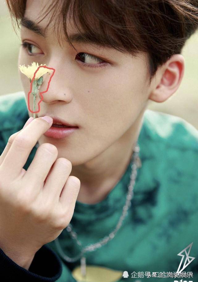 r1se微博粉丝排名:翟潇闻第三,何洛洛第五,任豪很意外_刘也_周震_实力