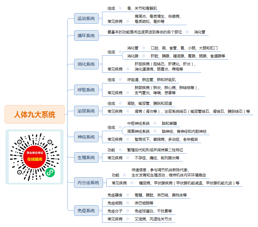 人体八大功能图片