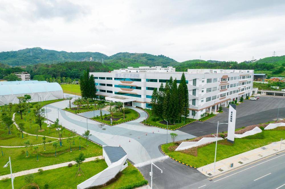 践行"公司 园区"模式改革,创新整合原镇泰玩具厂及韶关大道北片区资源