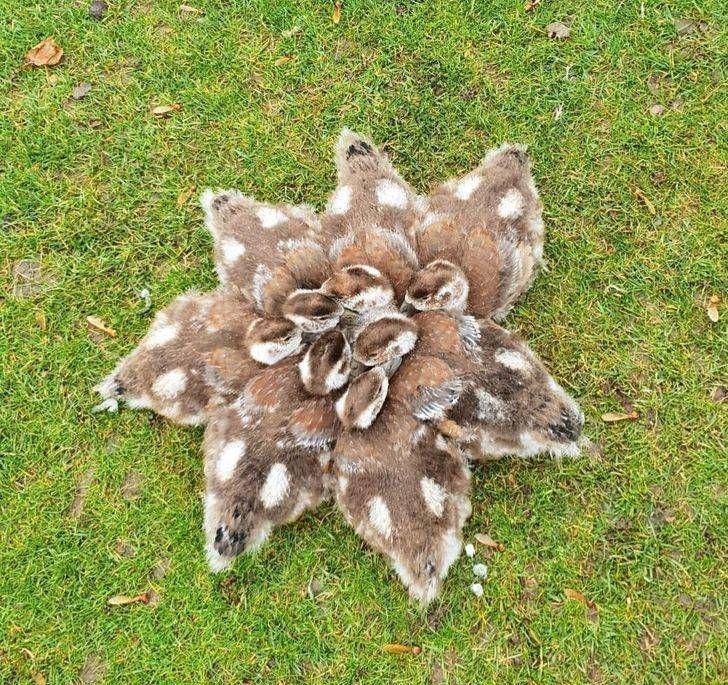 产生了_位置_裤子