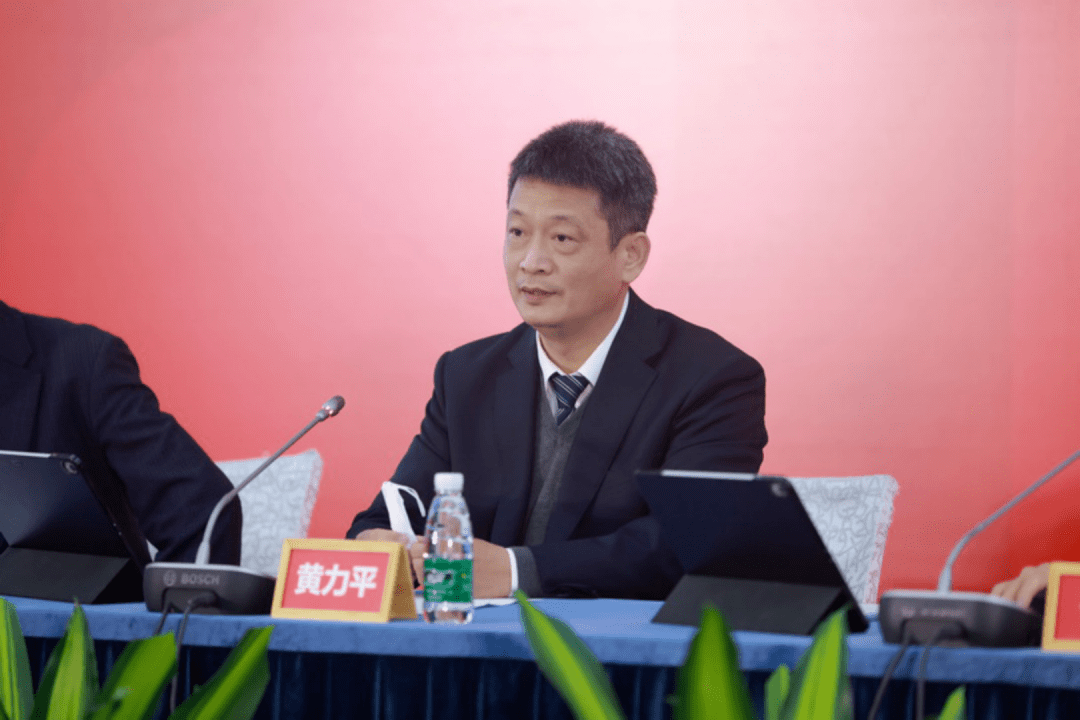 01通过千亿融资议案,深铁黄力平现身释疑