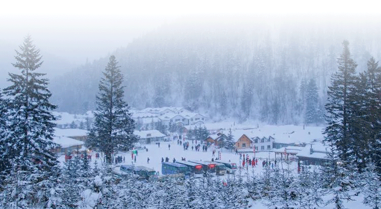 局长代言 | 长白日下雪，辽源市在等您！