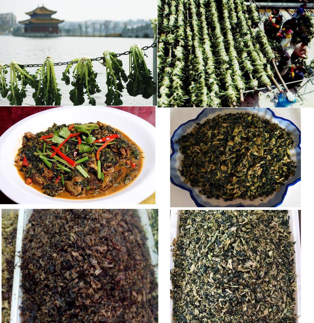 鄱阳不仅有独具特色的春不老菜,而且还有另一个特色菜——藜蒿,一种