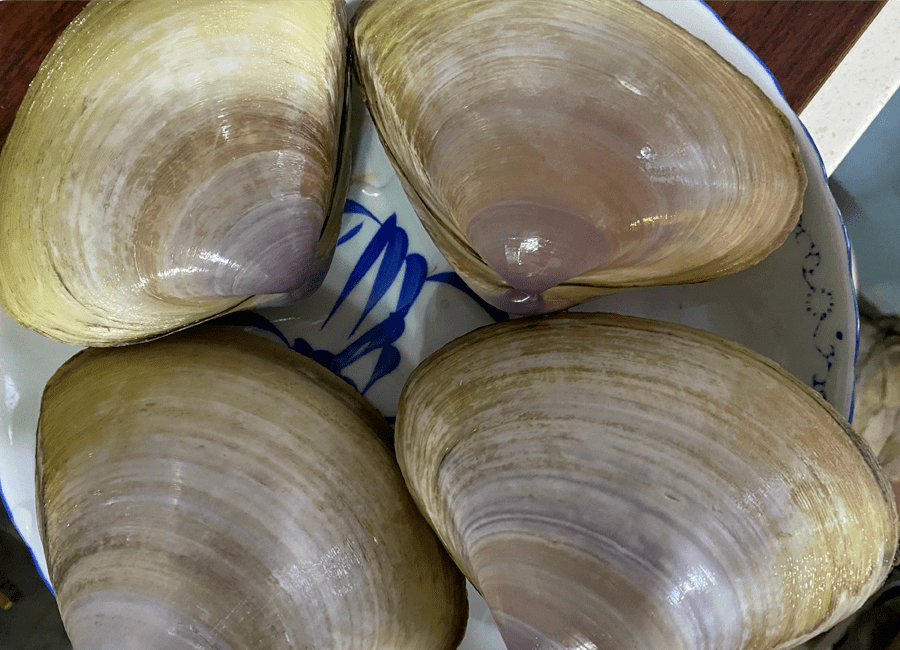 号称"闽菜之后"的鸡汤汆海蚌,是如何熬制一碗灵魂汤底_福州_长乐_菜肴