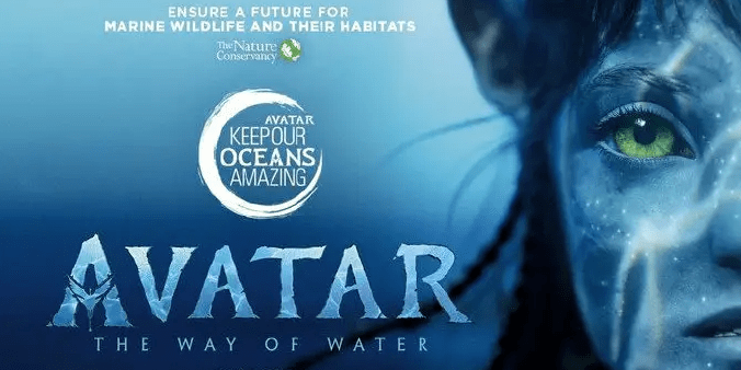 2 in Avatar The 2-in-avatar-the