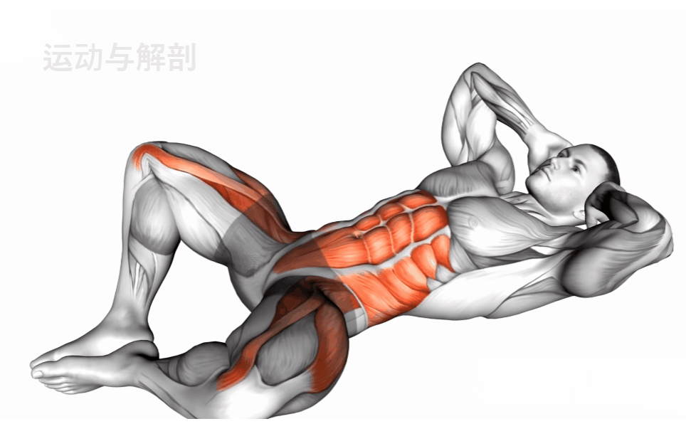 無器械居家塑形訓練(一)_肌肉_目標_腹部