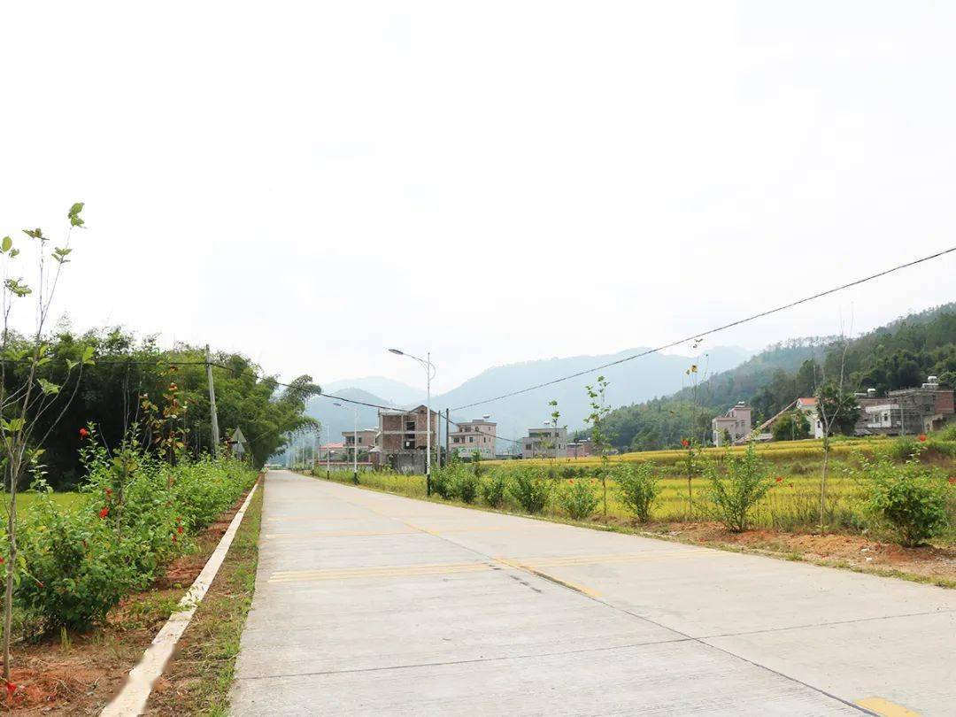 邓缵先故居道路起点位于蓝塘镇岭头围,途经自然村,石城村,南山村,布心