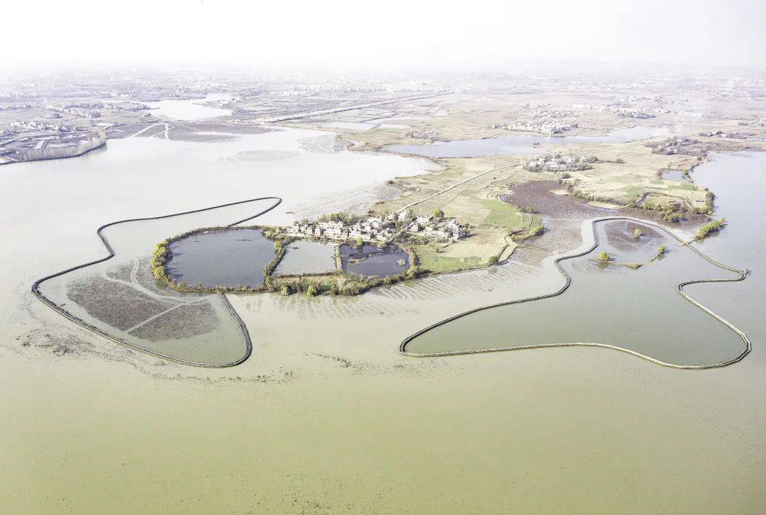 预计2025年8月完工！天门张家湖生态环境正在全面升级！_湖泊_原生态_湖区