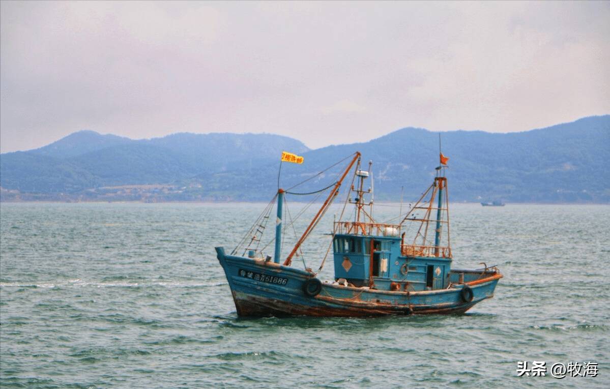 海外海胶州图片