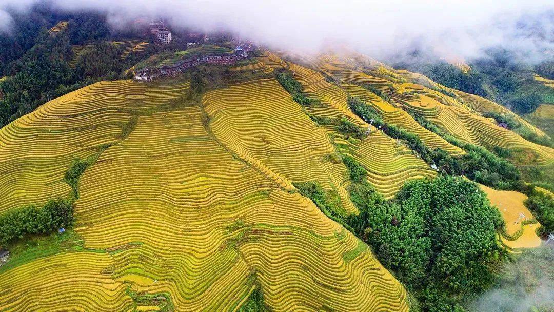 大寨村旅游景点图片